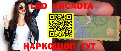 прущие крисы Нальчик