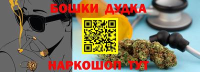 прущие крисы Нальчик
