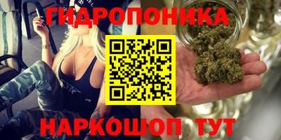 spice Наро-Фоминск