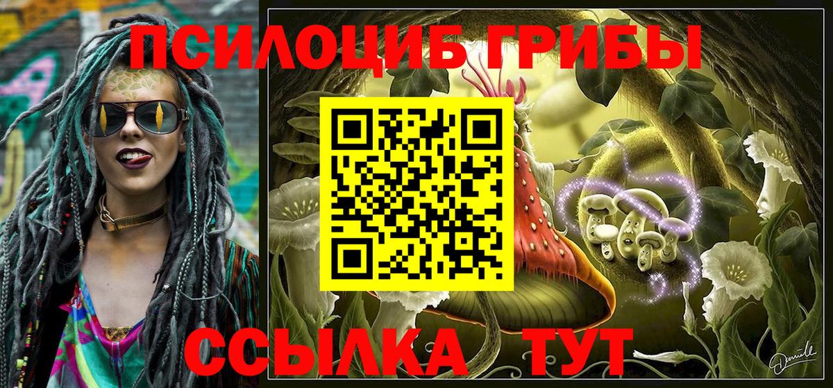 Петропавловск-Камчатский  Галлюциногенные грибы прущие грибы  продажа наркотиков  Вход с VPN 